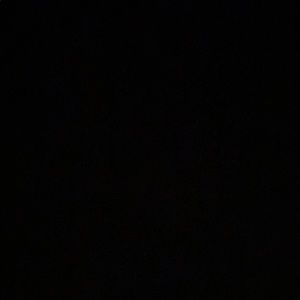 Meet your Posher, Reese